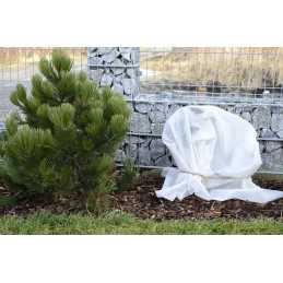 Agrotekstilė, šalčio danga, žieminė danga, 50g, balta, 1,6x5m