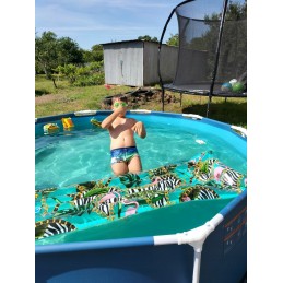 Plieninis pro pool 305x76 bestway 3in1 siurblio filtras