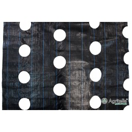 Agrotella mulčiavimo audinys su skylutėmis agritella 3,2x10m ao3200r