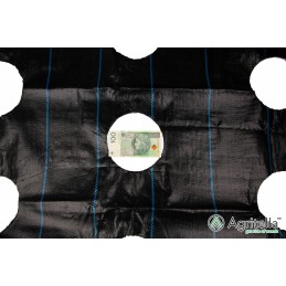 Agrotella mulčiavimo audinys su skylutėmis agritella 3,2x10m ao3200r