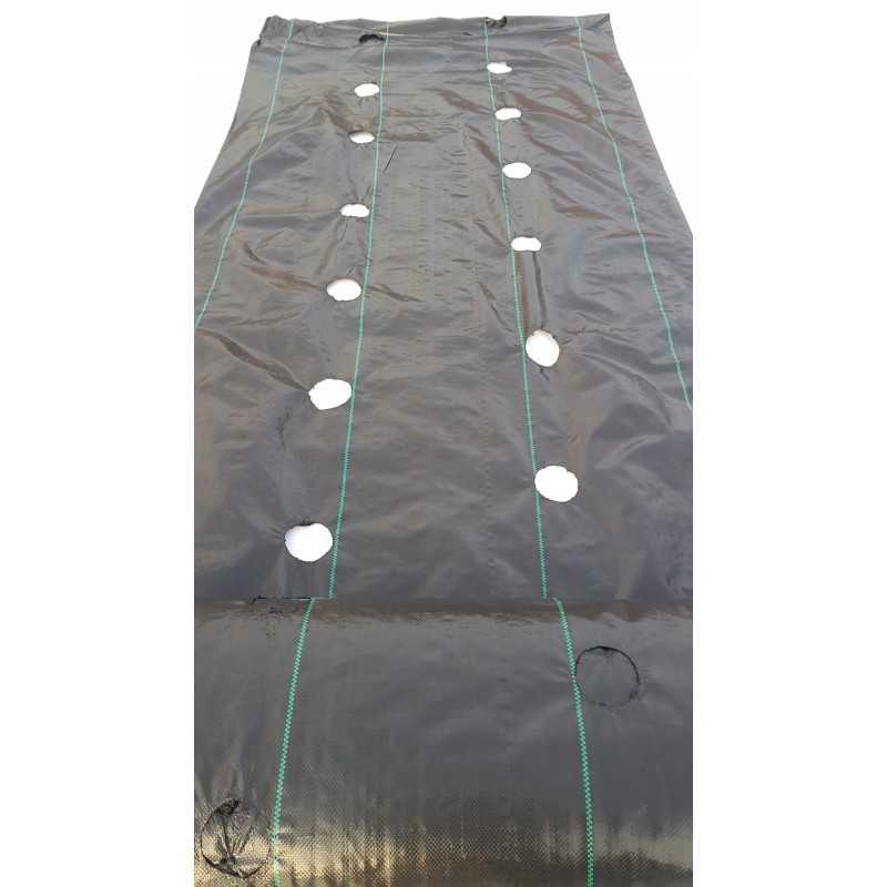 Agrotekstas su skylutėmis braškėms, salotoms, agurkams ir kt. 60 cm x 100 m