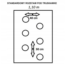 Augintas audinys su skylutėmis braškėms 110 cm x 100 metrų UV filtras piktžolėms