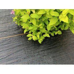 ⭐⭐Agrotekstilė 90g 1,6x50m juoda UV agrotekstilė 3% nuo piktžolių + kaiščiai⭐⭐