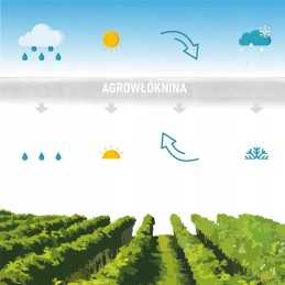 Žiemos apsauginis gaubtas 60x80cm agrotekstilė 3 vnt.