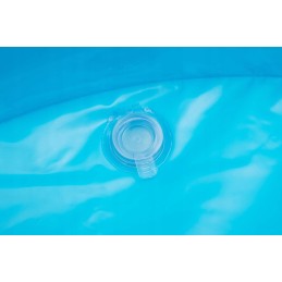 Pripučiamos baseino gėlės 305 x 183 x 56 cm bestway 54