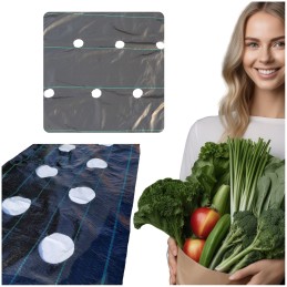 Agrotekstilė, skylutės braškėms ir agurkams, 1,1 x 50 m