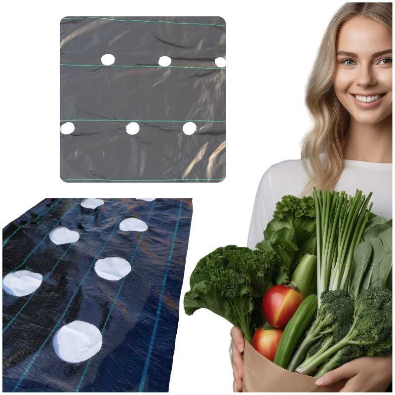 Agrotekstilė, skylutės braškėms ir agurkams, 1,1 x 50 m