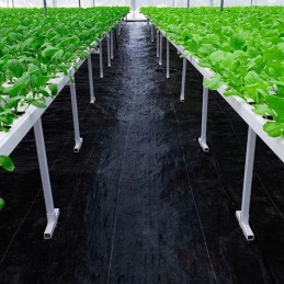 Agrotekstas stiprus juodas 1 6x50 m piktžolėms 135 g m2 mulčiavimas tvarus