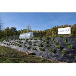 Agrotkanina czarna 1 6x50 uv90 sunrise anti weed agrowloknina kolki