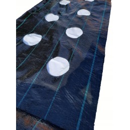 Žemės ūkio audinys skylės braškėms agurkams 1 1x50m