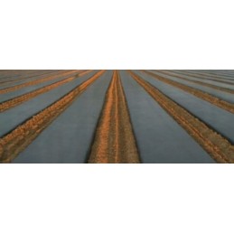 Augalinis audinys bradas juodas 3 2x100m 50 g m2 ritinys