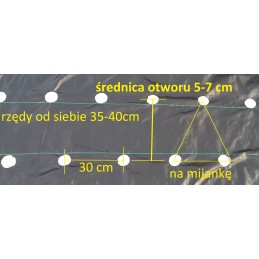 Žemės ūkio audinys skylės braškėms agurkams 1 1x50m