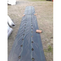 Žemės ūkio audinys skylės braškėms agurkams 1 1x50m