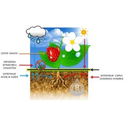 Agrotextile holes for strawberries cucumbers 1 1x50m