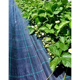 Agromedžiagos mulčiavimas nuo piktžolių sode 100g/m2 uv 100m