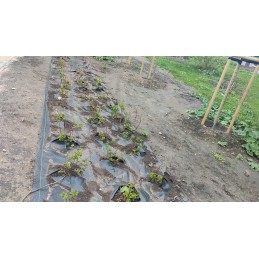 Augalinis audinys pjovimui juodas 160cm x 100 m ant rulono 100 g m2