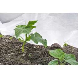 Lenkiška balta agrotekstilė 15g/m2 2,1 x 10 metrų megran