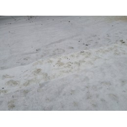 Geotekstilė tekstilė drenažas 200g 2x50m