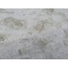 Geotekstilė tekstilė drenažas 200g 2x50m