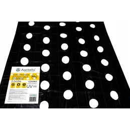 Agrotella mulčiavimo audinys 90g su skylutėmis 2,2x10m ao2200r