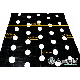 Agrotella mulčiavimo audinys 90g su skylutėmis 2,2x10m ao2200r