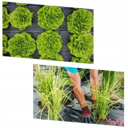 Stora agrotekstilė, atspari piktžolėms, 90 g, 1,6 x 100 m