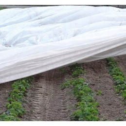 Agrowwoven white 21g 4 25x100m wz agro woven pavasario vasaros žiemos apsauginis