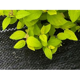 Agrotkanina 135g 1,1x50m aukščiausios kokybės UV 3% agrotekstilės juodo kilimėlio kaiščiai