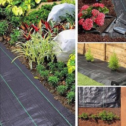 Agroaudiniai skyles po tuje fi15cm kas 60cm 1 1x100