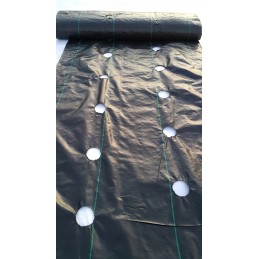 Žemės ūkio audinys piktžolėms su skylutėmis 1 1mx100m truska