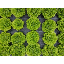 Agrotekstilė juoda UV nuo piktžolių mulčias agrotekstilė 1,6x100m