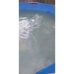 Smėlio siurblys baseinui, smėlis 25kg, 5678 lh