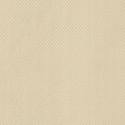 Vidaxl apsauginiai gaubtai su užtrauktuku, 2 vnt., 70 g/m² 3,93x3,5 m