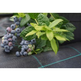 Agrotekstilė 110g 1,6x100m premium UV 3% agrotekstilė juodas kilimėlis + kaiščiai