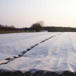 White agrotextile agroterm 50 g/m2 - 3.2m x 100m