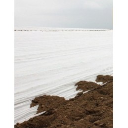Žieminė agrotekstilė p-50 3,2 x 100mb augalų apsauga