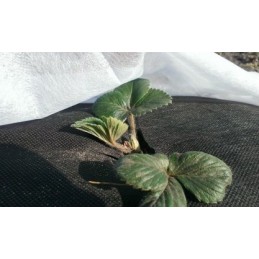 Agrotekstilės mulčiavimas (nuo piktžolių) su UV filtru