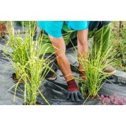 ✨Agritella agroaudina nuo piktžolių su skylutėmis sodinimui į metrą, 3,2x1m, juoda