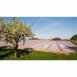 Dengianti agrotekstilė p-19 6,35 x 100 mb wb augalų apsauga