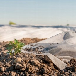 Dengianti agrotekstilė p-19 6,35 x 100 mb wb augalų apsauga