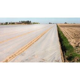 Dengianti agrotekstilė p-19 6,35 x 100 mb wb augalų apsauga