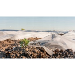 Dengianti agrotekstilė p-19 6,35 x 100 mb wb augalų apsauga