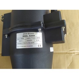 Galingas 700 W pūstuvas 300 W šildytuvo siurblys skirtas SPA