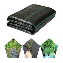 Kaip pateikti užsakymą