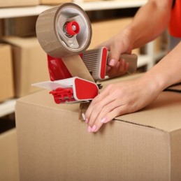 Efektyvus, stiprus smėlio siurblys baseinams, 5678 lh