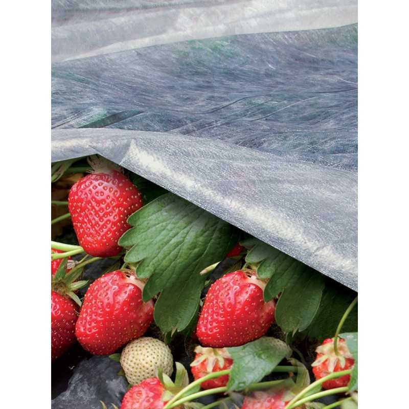 Ortoclima agrotekstilė – didelis ritinys