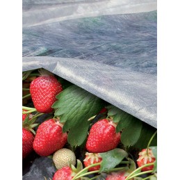 Ortoclima agrotekstilė – didelis ritinys