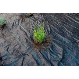 Agrotkanina pp green anti piktžolių uv 110g 3 2 x 50 m