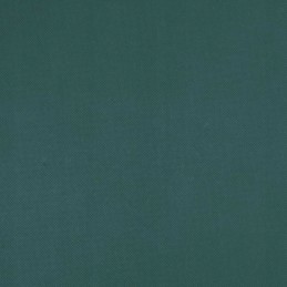 Agrowwoven audinio danga 70 g m2 50x1 6 m