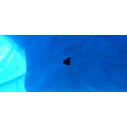 Plieninis profesionalus baseinas su rėmu 366 x 76 cm